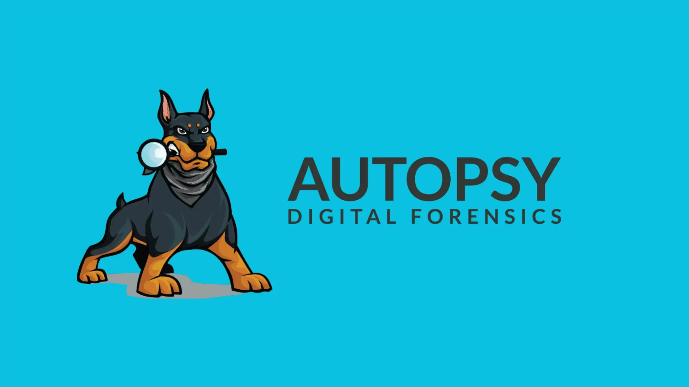 Cara Menggunakan Tools Autospy Kali Linux