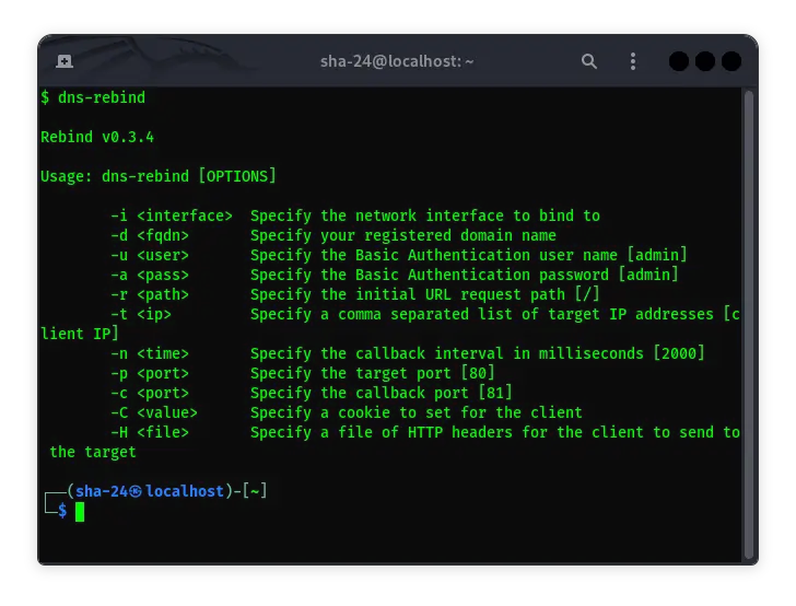 Memahami Serangan DNS Rebinding dan Implementasinya di Kali Linux